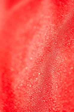 Leichte Weidedecke 600D, 100g -Reitsportbedarf 24971 250 5