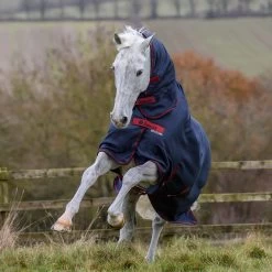 Bucas Freedom Turnout Full Neck Regendecke Mit Festem Halsteil, 0g -Reitsportbedarf 300453 GDG 2