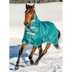Bucas Freedom Turnout Full Neck Regendecke Mit Festem Halsteil, 0g -Reitsportbedarf 300453 JGR 1
