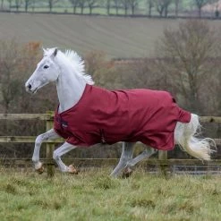 Bucas Freedom Turnout Light Regendecke, 0g -Reitsportbedarf 300455 CRE 1