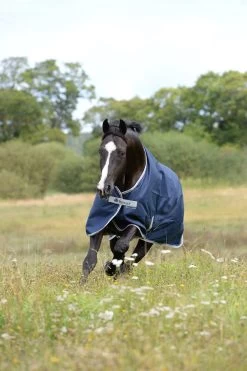 Bucas Freedom Turnout Light Pony Regdendecke, 0g -Reitsportbedarf 300456 DB 3