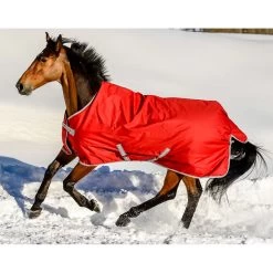 Bucas Freedom Turnout Light Pony Regdendecke, 0g -Reitsportbedarf 300456 SRE 1