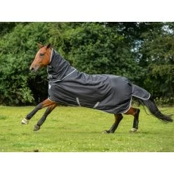 Reitsportbedarf -Reitsportbedarf 300493 BL 1