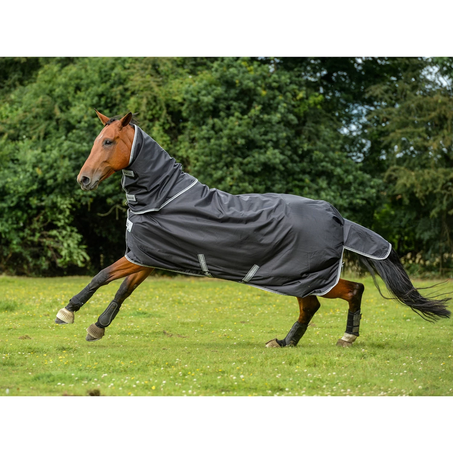 Bucas Smartex Combi Neck Halsteil 300 4 Bucas Smartex Combi Neck Halsteil 300 – Bild 2