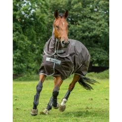 Bucas Smartex Combi Neck Halsteil 300 20 Bucas Smartex Combi Neck Halsteil 300 -Reitsportbedarf 300493 CBR 2