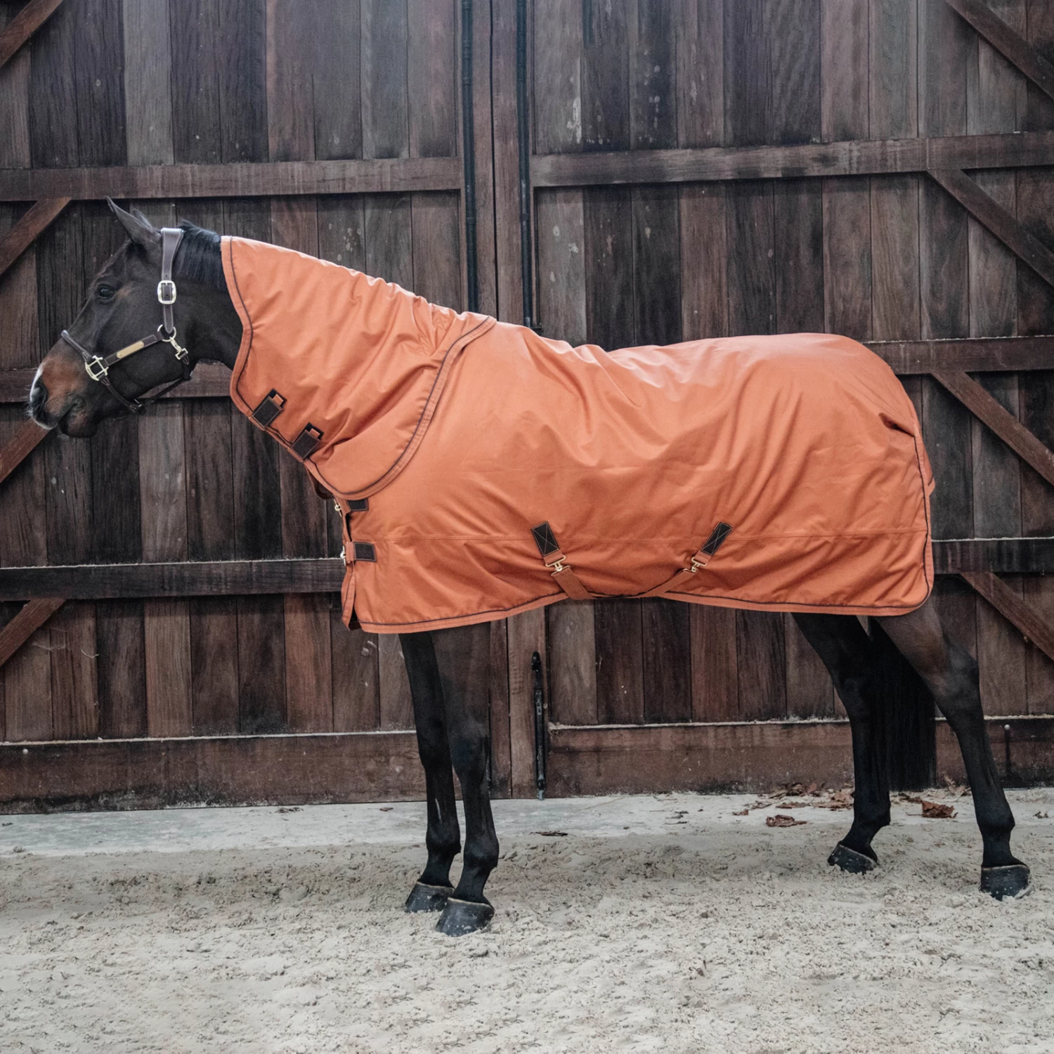 Kentucky Horsewear All Weather Halsteil 150g 7 Kentucky Horsewear All Weather Halsteil 150g – Bild 5