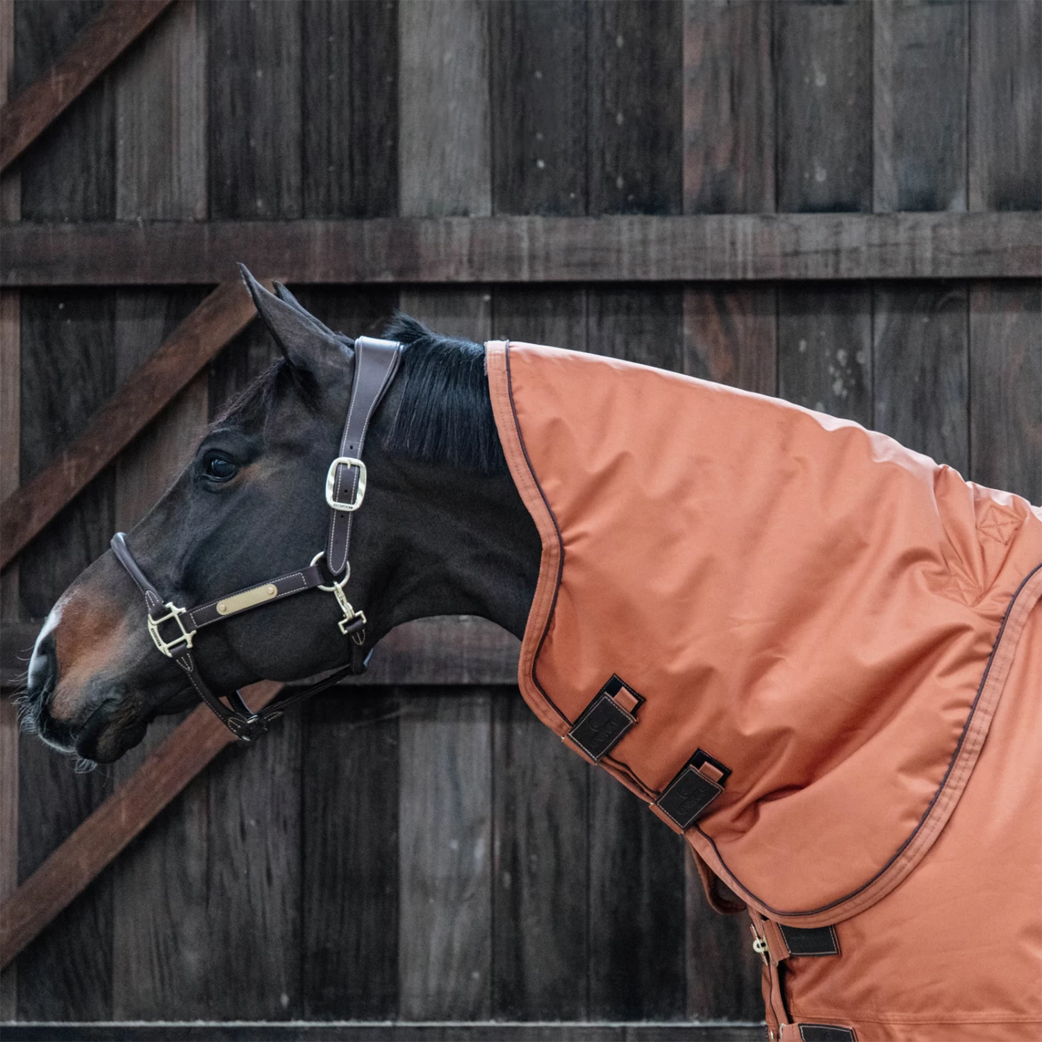 Kentucky Horsewear All Weather Halsteil 150g 8 Kentucky Horsewear All Weather Halsteil 150g – Bild 6