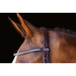 Schockemöhle Copenhagen Trense -Reitsportbedarf 306265 DBR SI 2