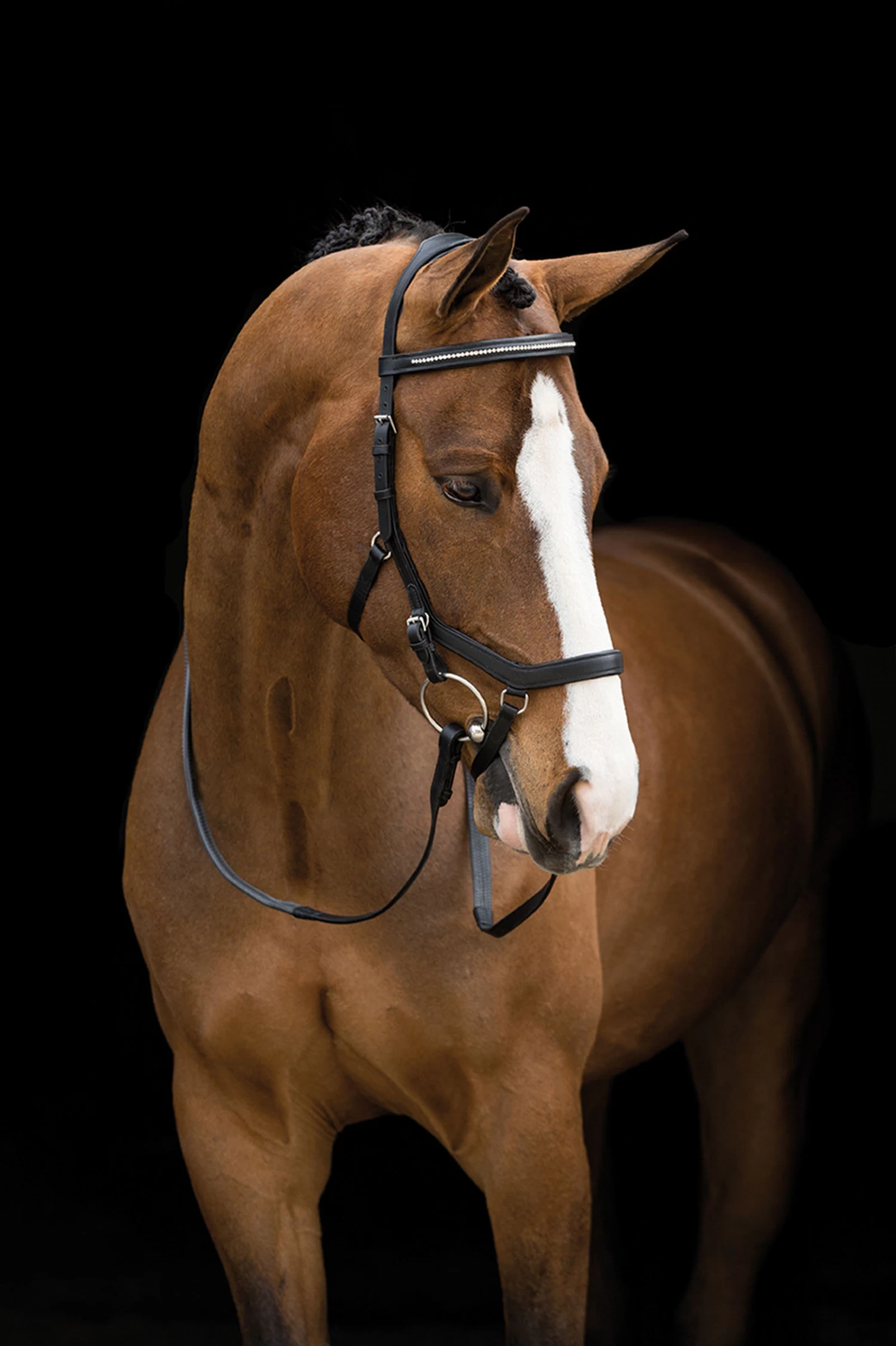 Horseware Rambo Micklem Diamante Competition Trensenzaum 4 Horseware Rambo Micklem Diamante Competition Trensenzaum – Bild 2