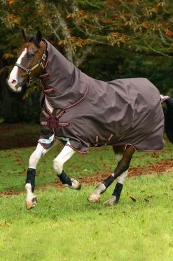 Horseware Amigo Halsteil, 0g -Reitsportbedarf 307509 BR RE GO 2