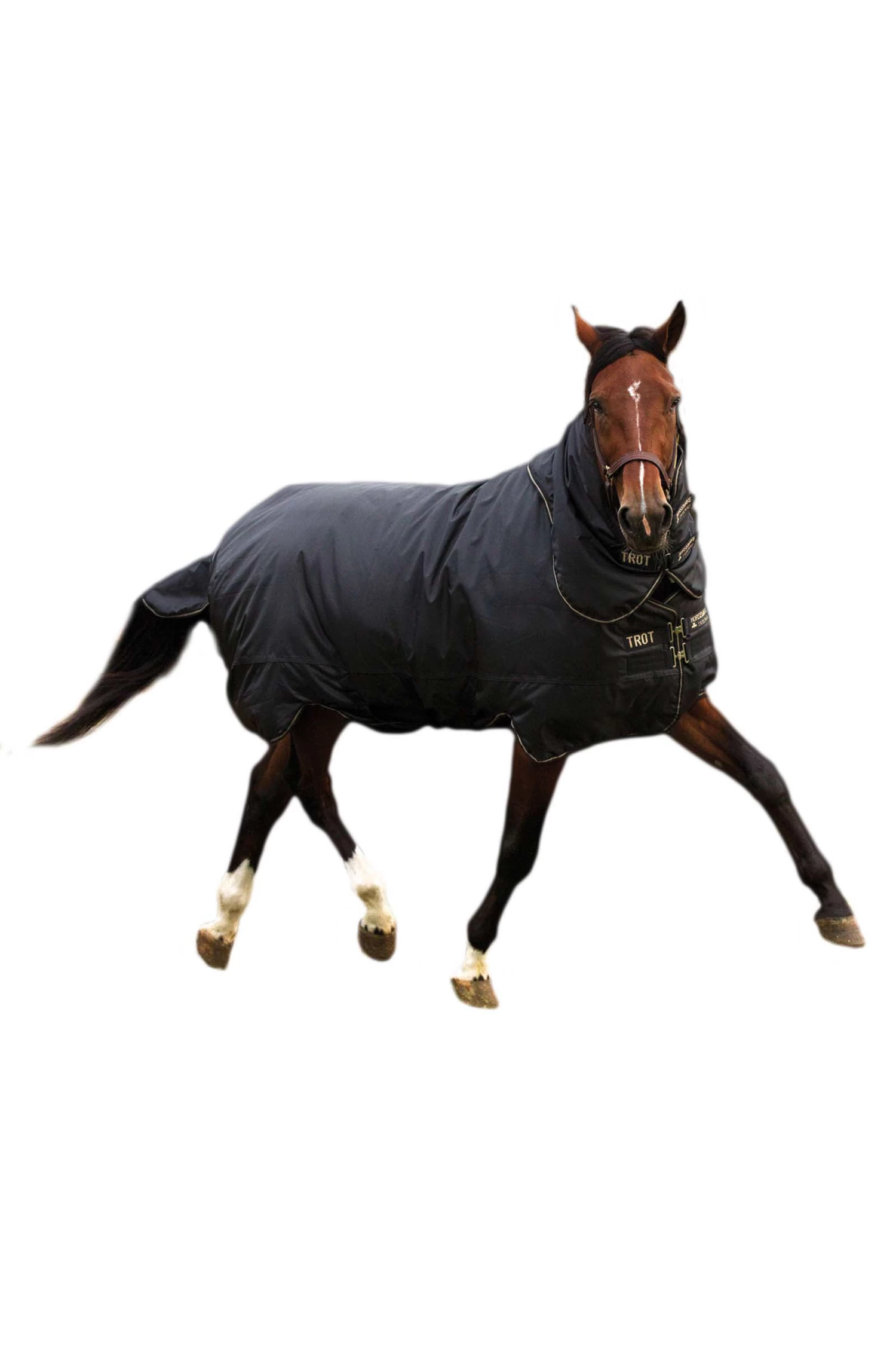 Horseware Trot Plus Winterdecke Mit Abnehmbarem Halsteil, 350g 3 Horseware Trot Plus Winterdecke Mit Abnehmbarem Halsteil, 350g
