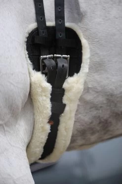 Kentucky Horsewear Lammfell Kurzgurt 7 Kentucky Horsewear Lammfell Kurzgurt -Reitsportbedarf 307787 BL 9