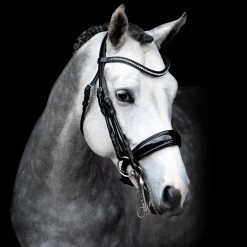 Schockmöhle Venice Anatomische Kandare Mit Kristallen -Reitsportbedarf 313790 BL SI 3