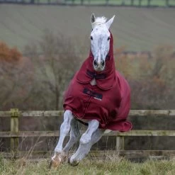 Bucas Freedom Turnout Light Fullneck Pony Regendecke Mit Festem Halsteil 13 Bucas Freedom Turnout Light Fullneck Pony Regendecke Mit Festem Halsteil -Reitsportbedarf 316869 CRE 2