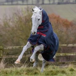 Bucas Freedom Turnout Light Fullneck Pony Regendecke Mit Festem Halsteil 15 Bucas Freedom Turnout Light Fullneck Pony Regendecke Mit Festem Halsteil -Reitsportbedarf 316869 GDG 2