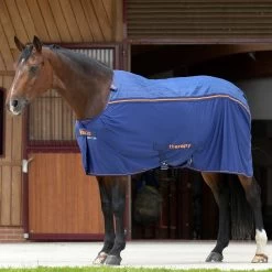 Bucas Therapy Cooler Abschwitzdecke 15 Bucas Therapy Cooler Abschwitzdecke -Reitsportbedarf 316877 DB OR 1