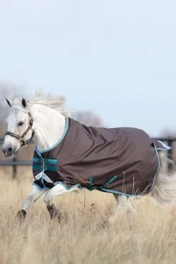 Horseware Amigo Bravo 12 Pony Weidedecke Inkl. Abnehmbarem Halsteil, 0g -Reitsportbedarf 320362 DG B 3