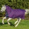 Horseware Amigo Bravo 12 Pony Weidedecke Inkl. Abnehmbarem Halsteil, 0g -Reitsportbedarf 320362 PU DB AB 1