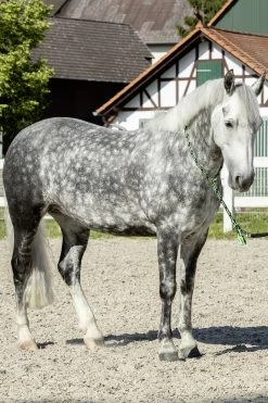 USG Halsring Soft -Reitsportbedarf 322868 BL GR 2