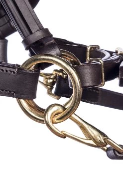 F.R.A. Pariba Sidepull (System 3) Mit Geflochtenem Nasenriemen, Inkl. Zügel -Reitsportbedarf 322922 BR BRS 2