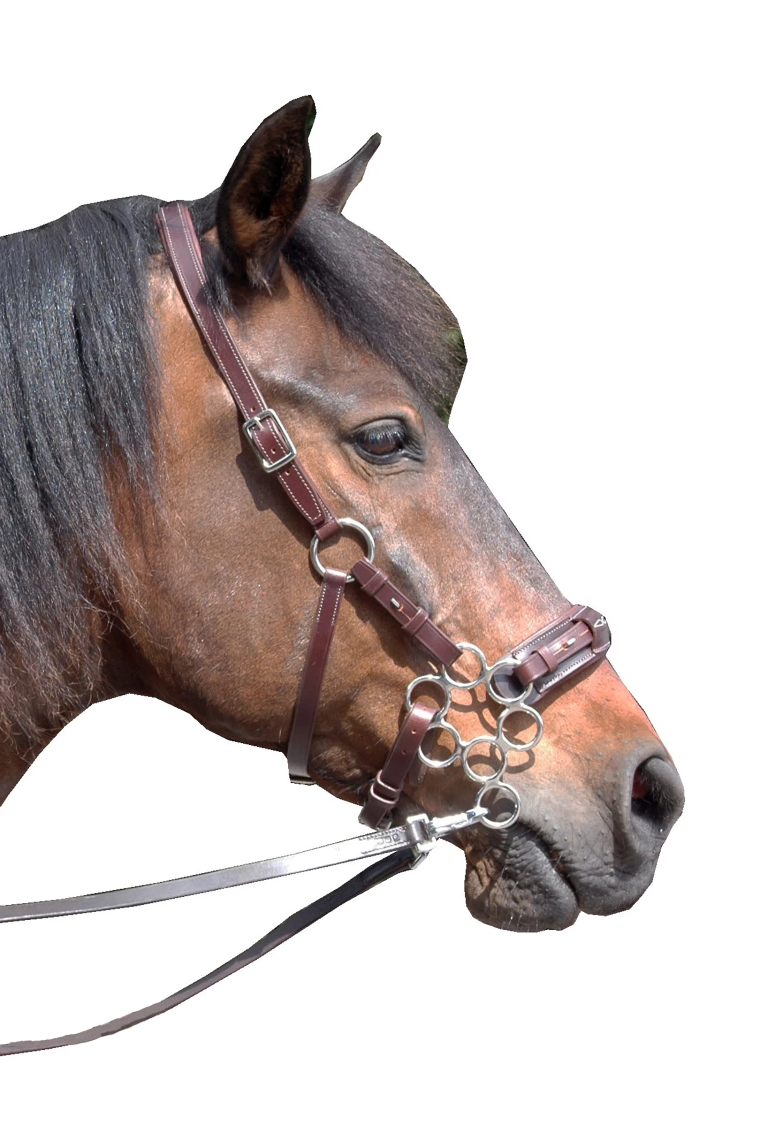 FRA Aram Hackamore (System 2) Leather, Jaw Straps, W/ Scissors 5 FRA Aram Hackamore (System 2) Leather, Jaw Straps, W/ Scissors – Bild 3