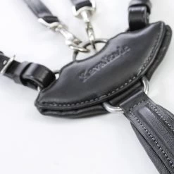 Kavalkade Vorderzeug Dekor, W 9 Kavalkade Vorderzeug Dekor, W -Reitsportbedarf 325207 BL 3