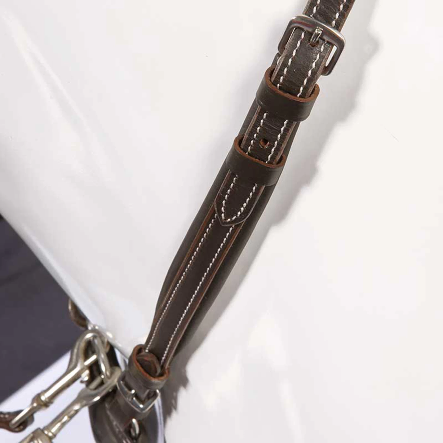 Kavalkade Vorderzeug Dekor, W 7 Kavalkade Vorderzeug Dekor, W – Bild 5