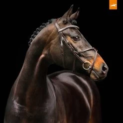 Schockemöhle Rio Select Trense -Reitsportbedarf 326305 DBR SI 2