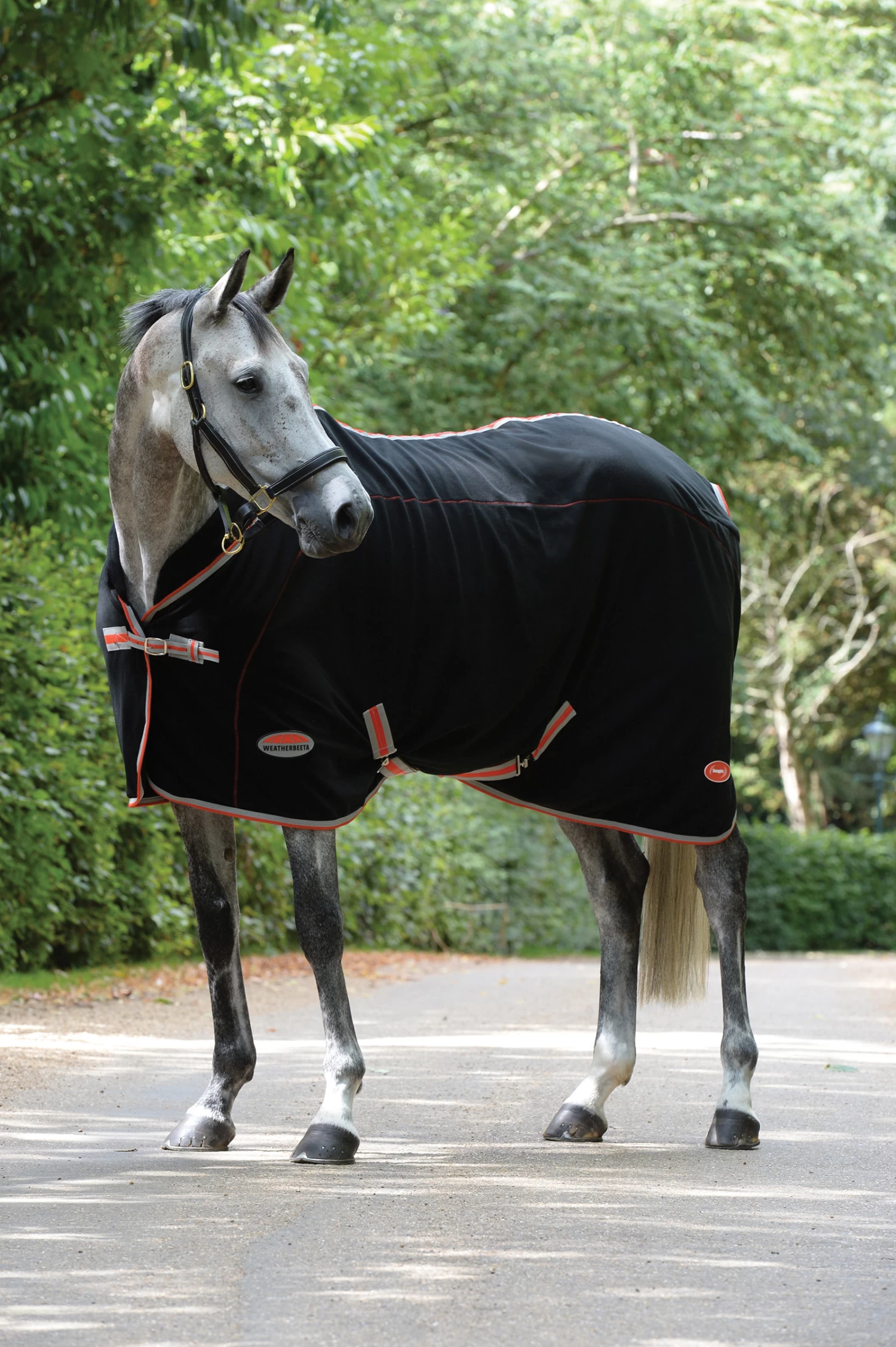 Weatherbeeta Therapy-Tec Decke Standard Neck 3 Weatherbeeta Therapy-Tec Decke Standard Neck