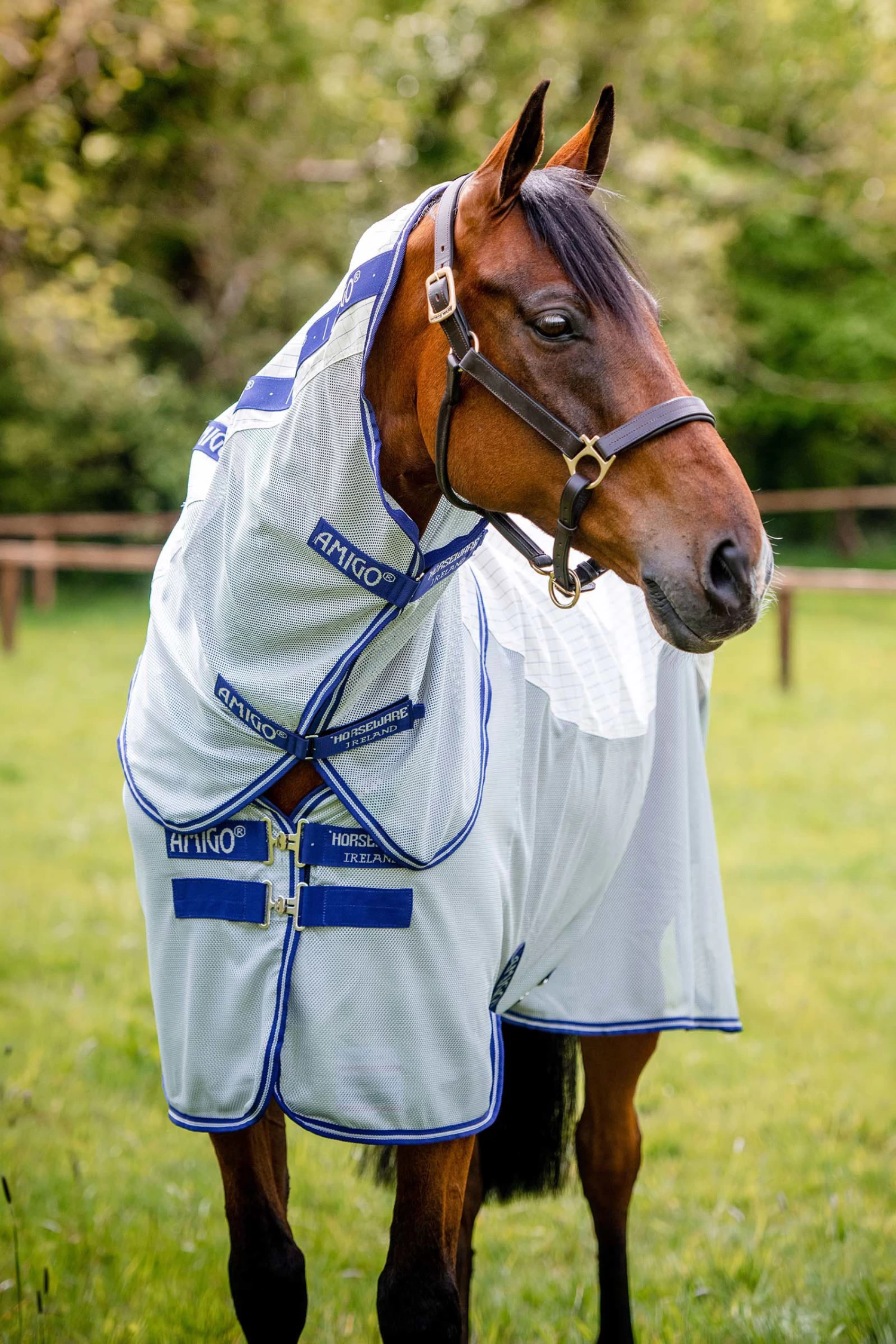 Horseware Amigo Airflow Fliegendecke Mit Abnehmbarem Halsteil 6 Horseware Amigo Airflow Fliegendecke Mit Abnehmbarem Halsteil – Bild 4