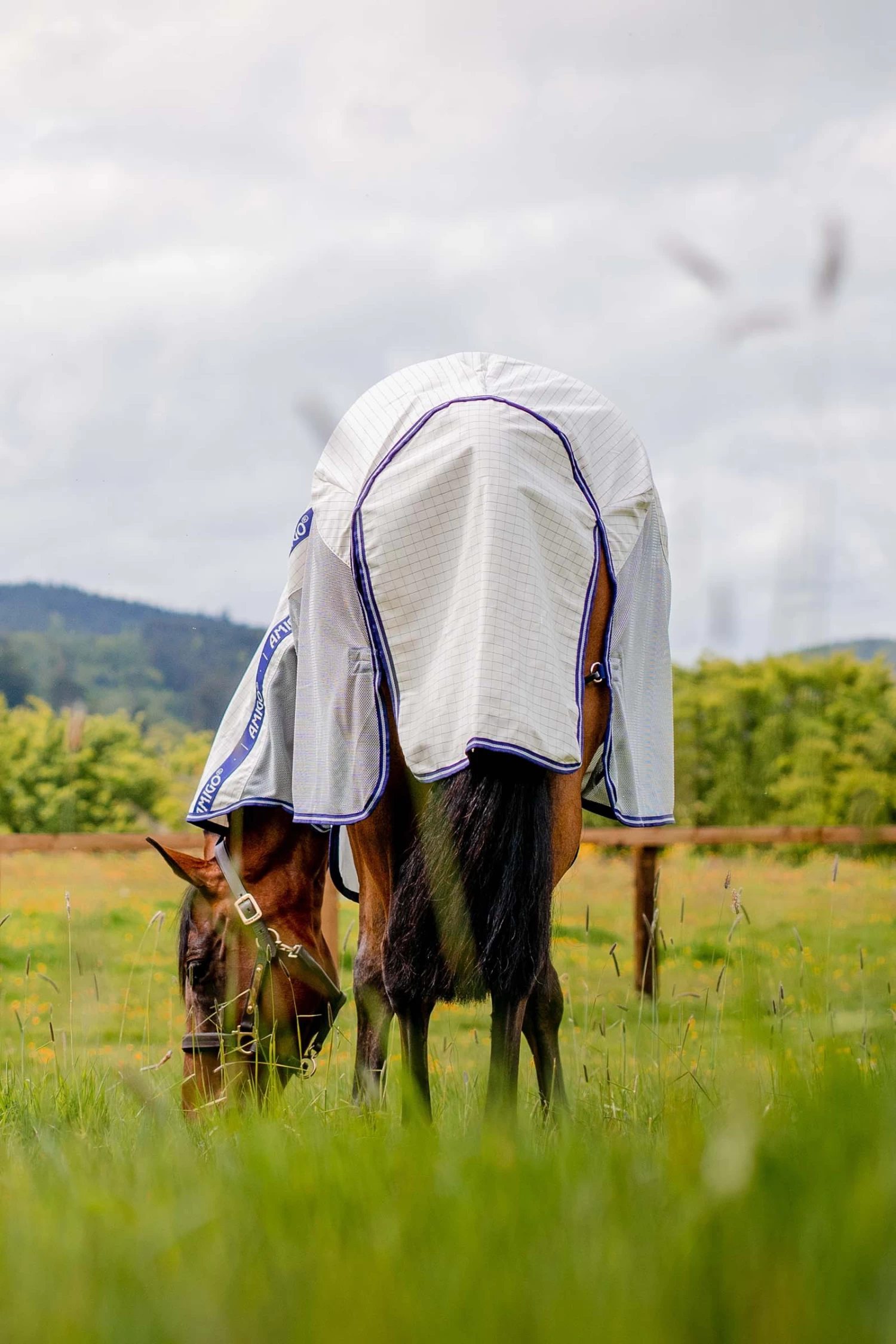 Horseware Amigo Airflow Fliegendecke Mit Abnehmbarem Halsteil 8 Horseware Amigo Airflow Fliegendecke Mit Abnehmbarem Halsteil – Bild 6