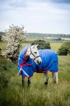 Horseware Amigo Bravo 12 Reflective Plus Winterdecke Mit Abnehmbarem Halsteil, 250g -Reitsportbedarf 332730 B PI 5