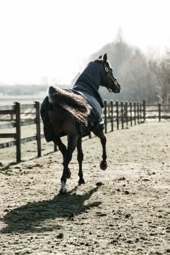 Kentucky Horsewear All Weather Waterproof Classic Regendecke, 50g -Reitsportbedarf 332982 DB 3