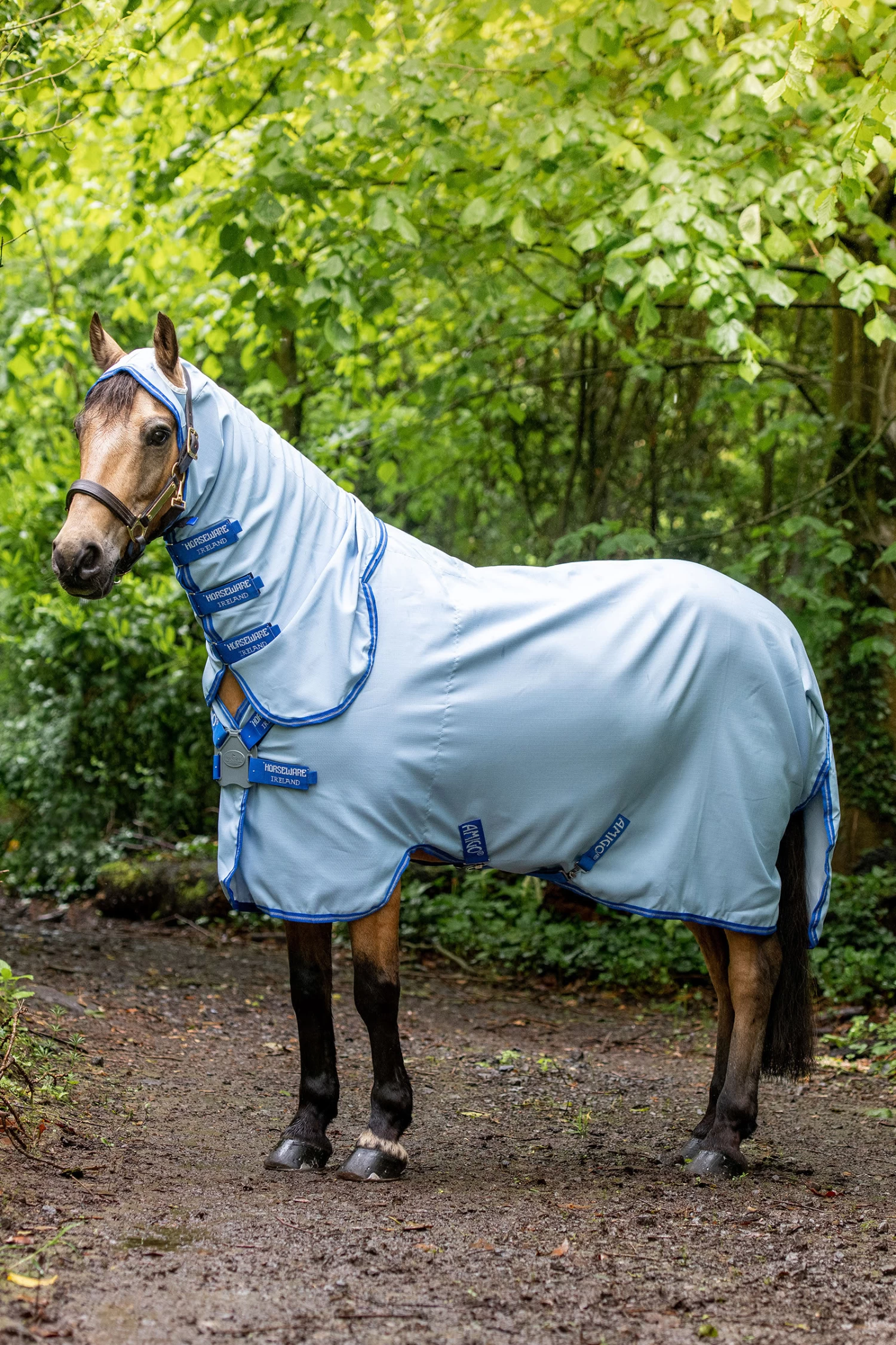 Horseware Amigo Hoody Pony Ekzemer Decke Mit Festem Halsteil 3 Horseware Amigo Hoody Pony Ekzemer Decke Mit Festem Halsteil