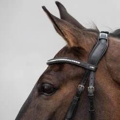 Schockemöhle Equitus Rho Genickstück 9 Schockemöhle Equitus Rho Genickstück -Reitsportbedarf 335287 BL SI 3