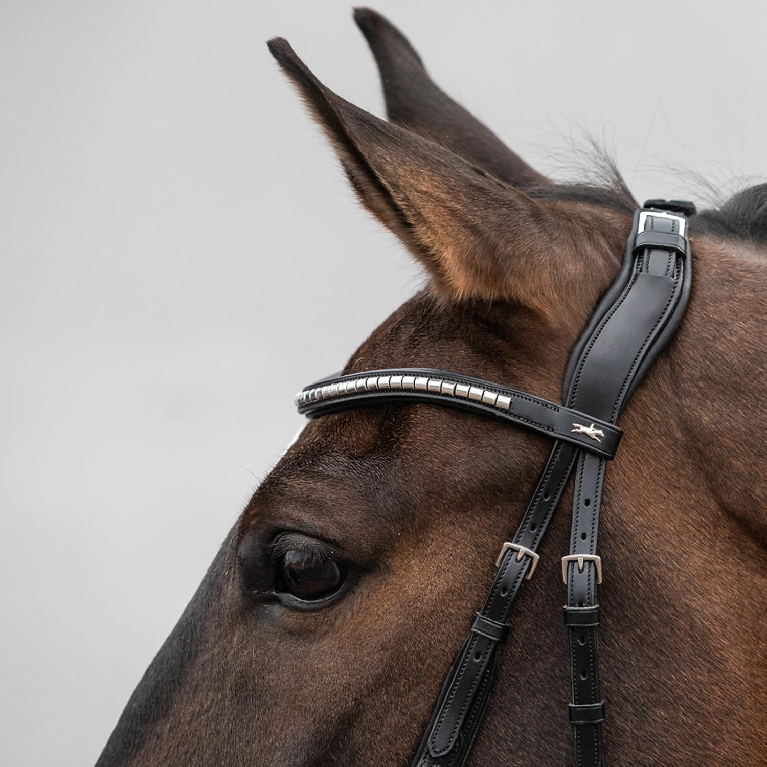 Schockemöhle Equitus Rho Genickstück 5 Schockemöhle Equitus Rho Genickstück – Bild 3