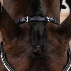 Schockemöhle Equitus Rho Genickstück 10 Schockemöhle Equitus Rho Genickstück -Reitsportbedarf 335287 BL SI 4