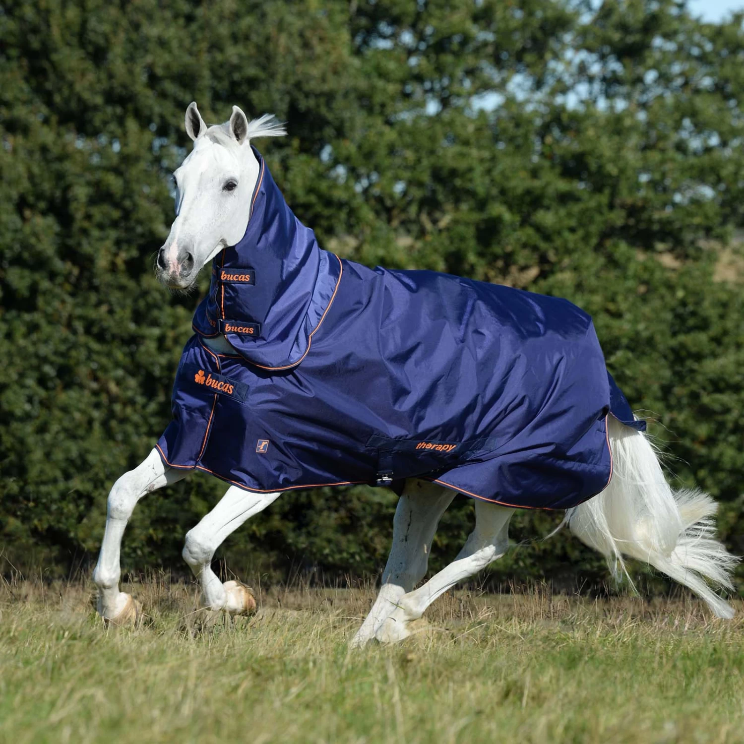 Bucas Therapy Turnout Neck Halsteil 3 Bucas Therapy Turnout Neck Halsteil