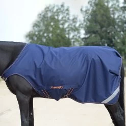 Bucas Therapy Walker Führanlagendecke