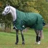 Weatherbeeta Comfitec Plus Dynamic II High Neck Weidedecke, 220g -Reitsportbedarf 335960 HGR DB 1