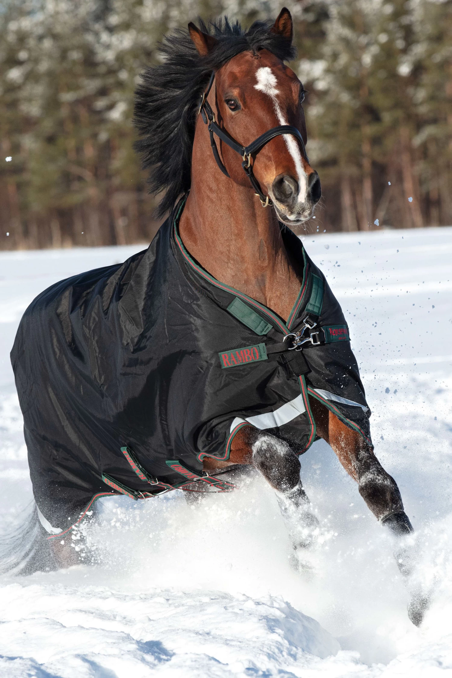 Horseware Rambo Original Weidedecke Mit Beinausschnitt, 200g 3 Horseware Rambo Original Weidedecke Mit Beinausschnitt, 200g