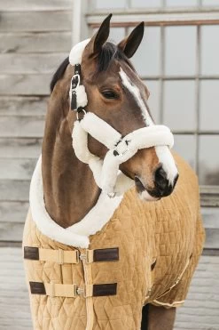 Kentucky Horsewear Velvet Pony Turnierdecke, 160g -Reitsportbedarf 336616 MGO 2