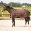 Harry's Horse Highliner Stalldecke, 200g 2 Harry's Horse Highliner Stalldecke, 200g -Reitsportbedarf 336761 BRBR 1
