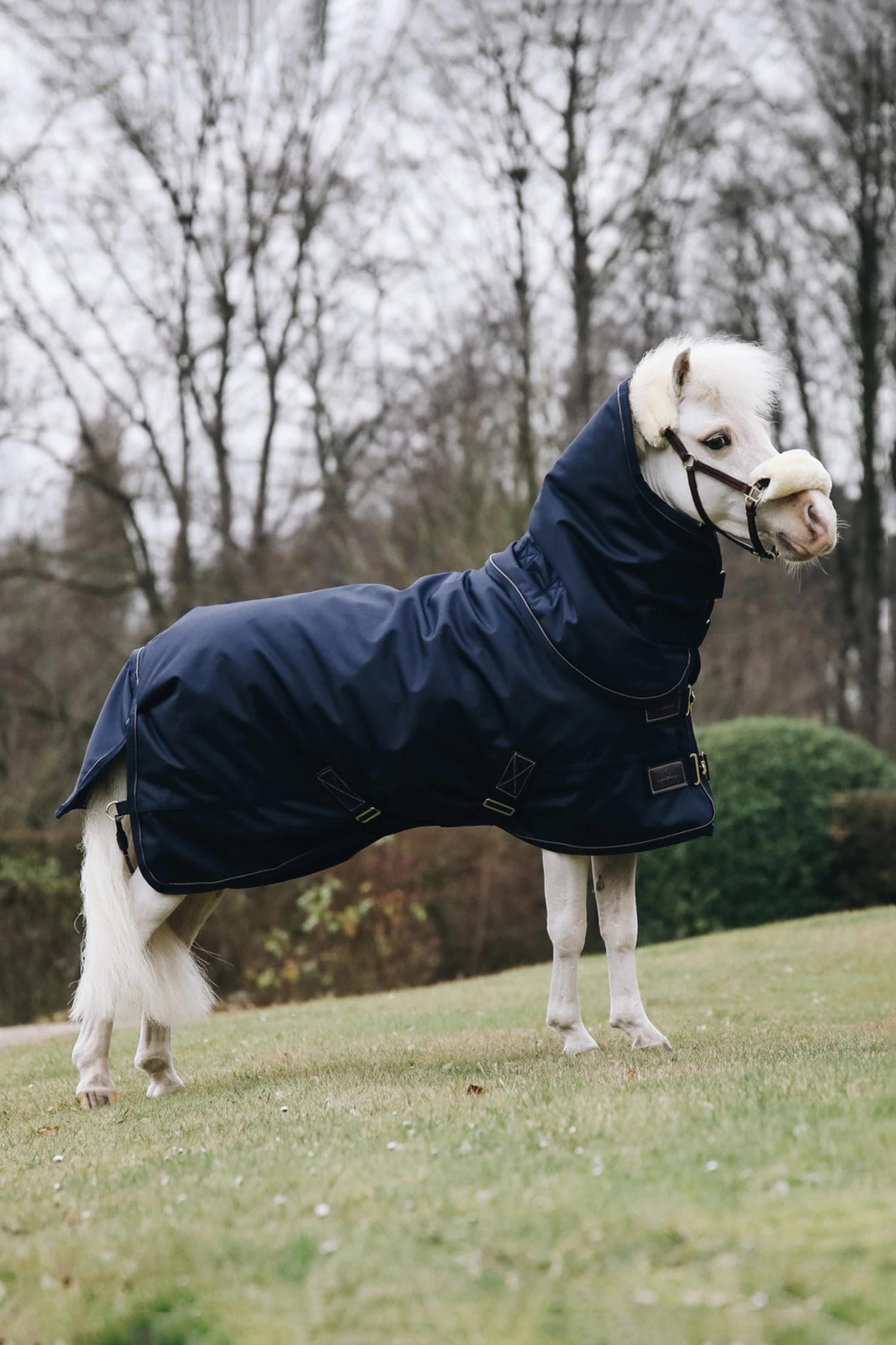 Kentucky Horsewear Pony All Weather Classic Weidedecke, 0g 3 Kentucky Horsewear Pony All Weather Classic Weidedecke, 0g
