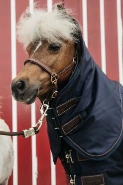Kentucky Horsewear Pony All Weather Classic Weidedecke, 0g 7 Kentucky Horsewear Pony All Weather Classic Weidedecke, 0g -Reitsportbedarf 336885 DB 3