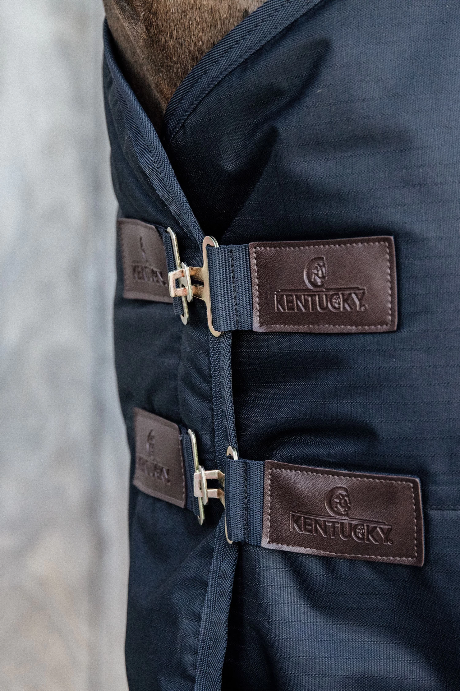 Kentucky Horsewear Pony All Weather Classic Weidedecke, 150g 6 Kentucky Horsewear Pony All Weather Classic Weidedecke, 150g – Bild 4