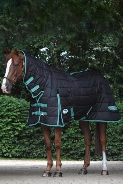 Weatherbeeta Green-Tec Stalldecke Mit Integriertem Halsteil, 150g -Reitsportbedarf 338284 BL BDGR 4