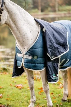 Horseware AmEco Liner, 100g -Reitsportbedarf 340947 TE G 4