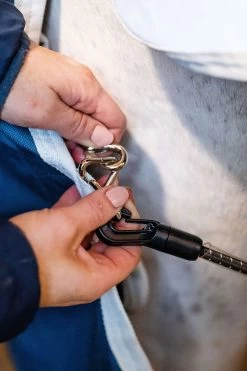 Horseware AmEco Liner, 100g -Reitsportbedarf 340947 TE G 7