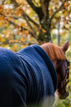Horseware Embossed Cosy Neck Abschwitzdecke -Reitsportbedarf 340951 DB BU 7